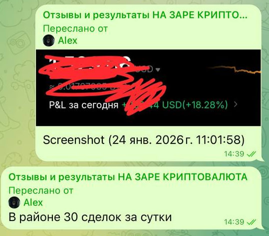 Отзыв ученика НА ЗАРЕ 15